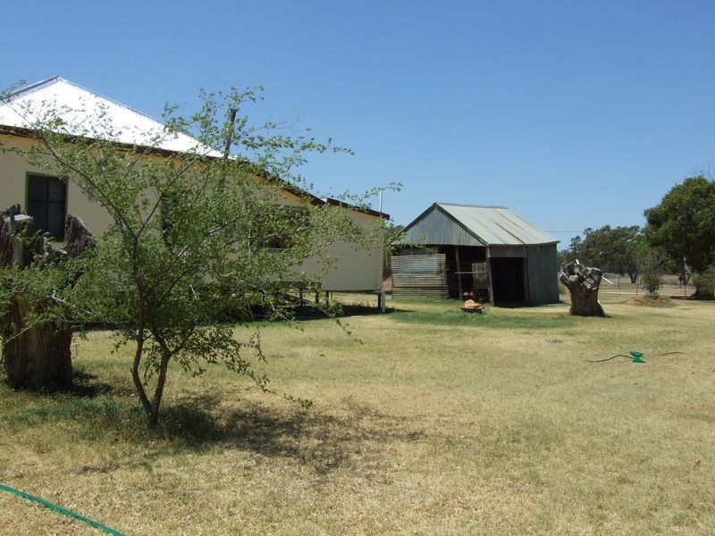 80 BRUNEL STREET, Morven QLD 4468