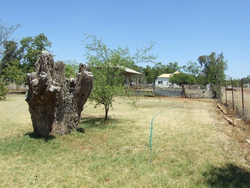 80 BRUNEL STREET, Morven QLD 4468