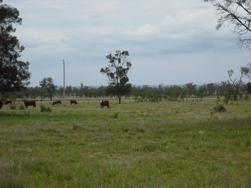 1 Warrego Hwy, Mitchell QLD 4465