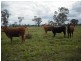 1 Warrego Hwy, Mitchell QLD 4465