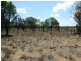 307 ALFRED STREET, Charleville QLD 4470