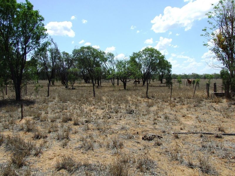 307 ALFRED STREET, Charleville QLD 4470