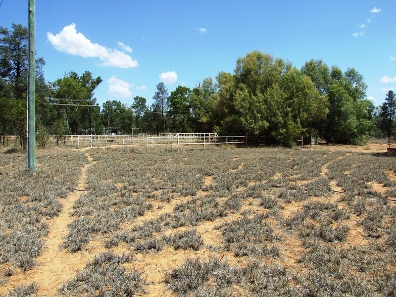 307 ALFRED STREET, Charleville QLD 4470