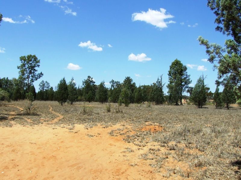307 ALFRED STREET, Charleville QLD 4470