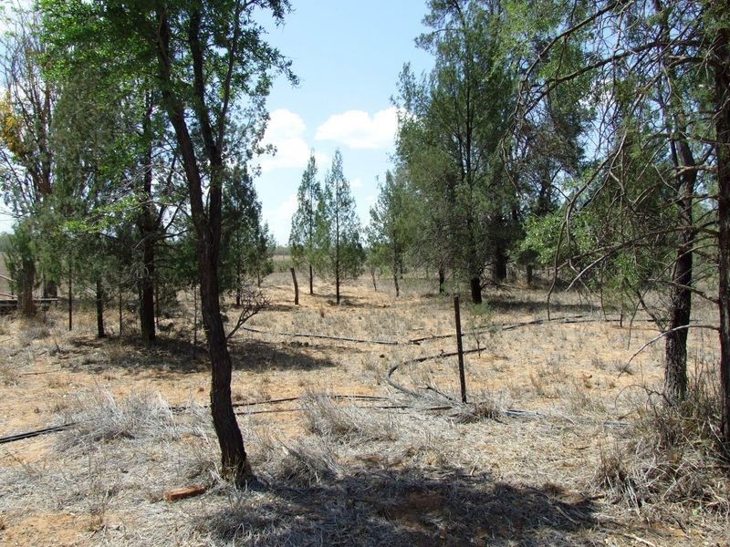 307 ALFRED STREET, Charleville QLD 4470