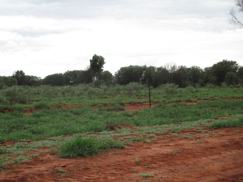 Lot 16 Albert Park Road, Charleville QLD 4470