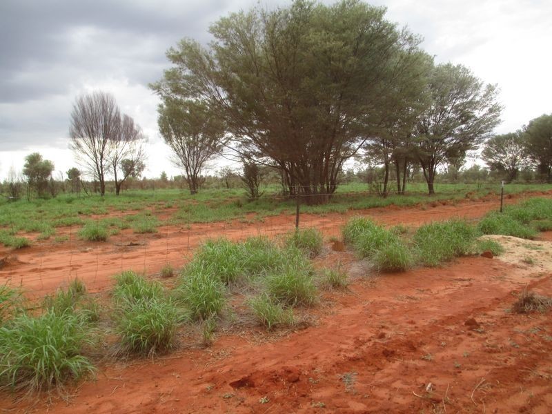 Lot 16 Albert Park Road, Charleville QLD 4470