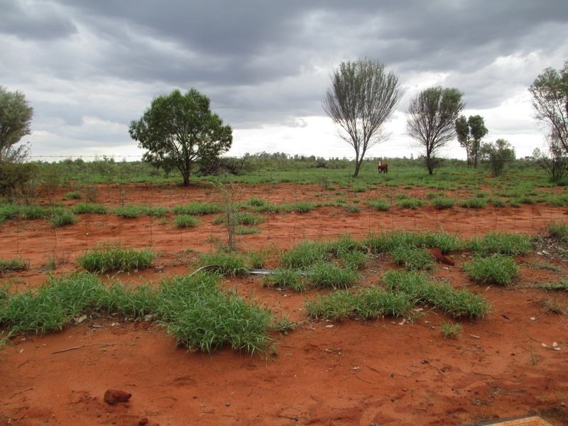 Lot 16 Albert Park Road, Charleville QLD 4470