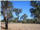 57 HILDA STREET, Charleville QLD 4470