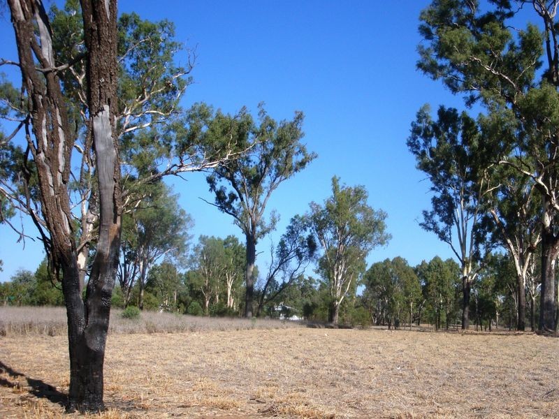 57 HILDA STREET, Charleville QLD 4470