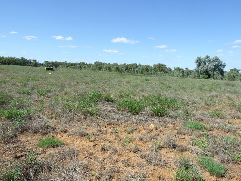 LOT 1 FRAWLEY STREET, Charleville QLD 4470