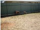 29 CHULUNGRA STREET, Quilpie QLD 4480