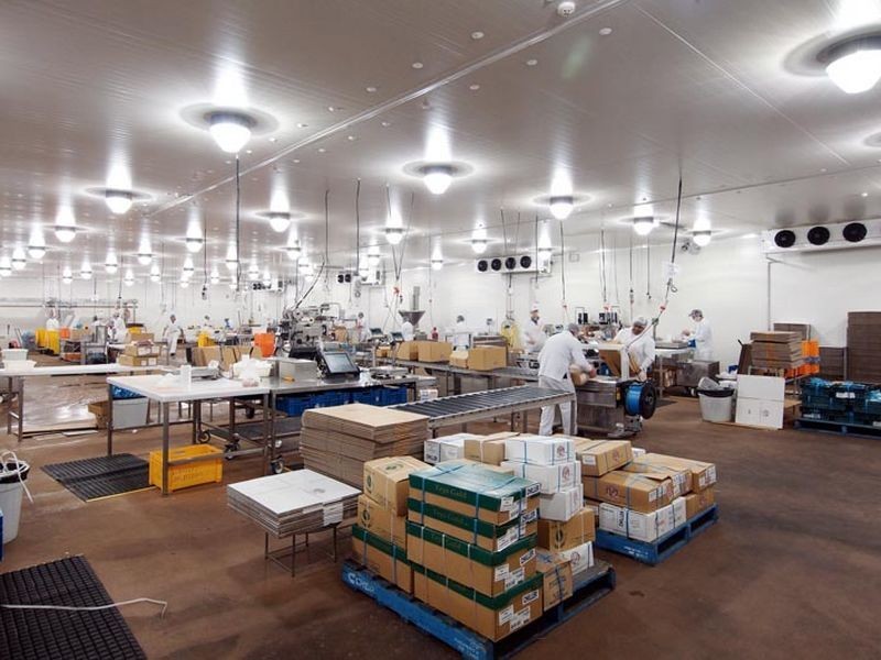 22 Renewable Chase, Bibra Lake WA 6163