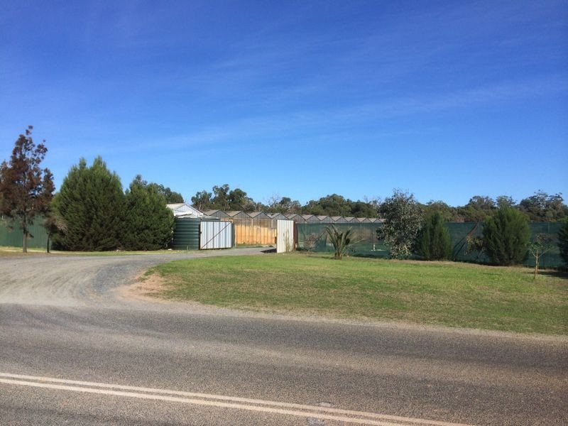 339 Mandogalup Road, Hope Valley WA 6165