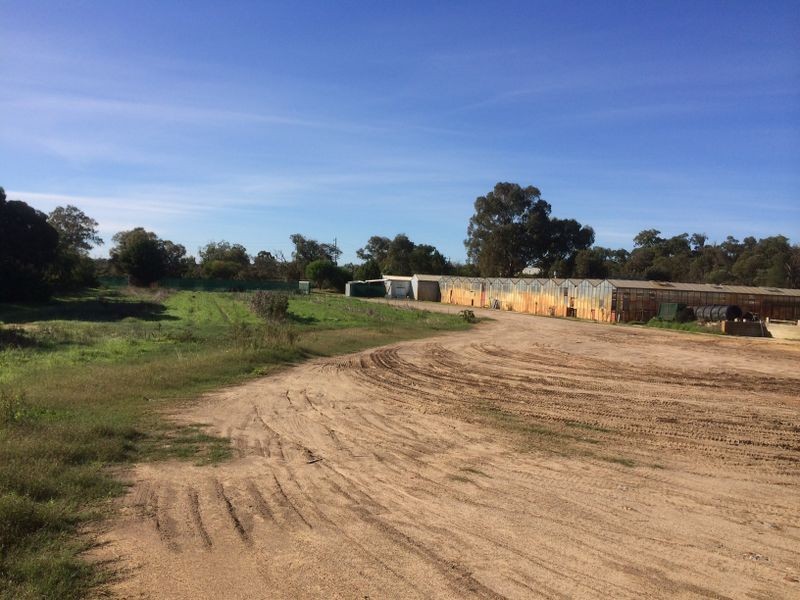 339 Mandogalup Road, Hope Valley WA 6165