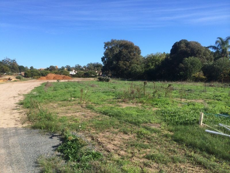 339 Mandogalup Road, Hope Valley WA 6165