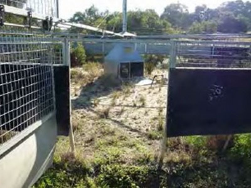 Lot 3 Ioppolo Road, Beermullah WA 6503