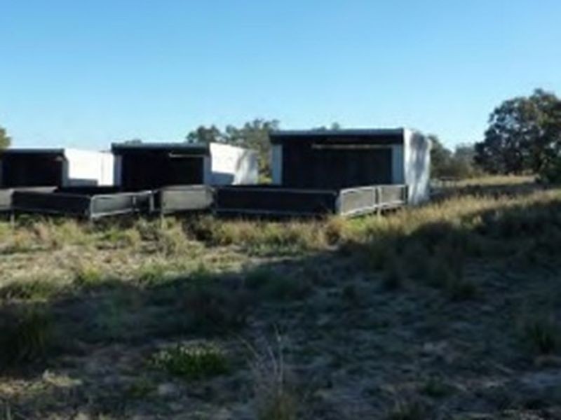 Lot 3 Ioppolo Road, Beermullah WA 6503