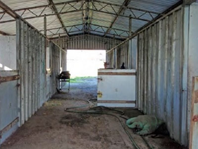 Lot 3 Ioppolo Road, Beermullah WA 6503