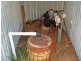 Lot 3 Ioppolo Road, Beermullah WA 6503