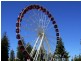 Fremantle WA 6160