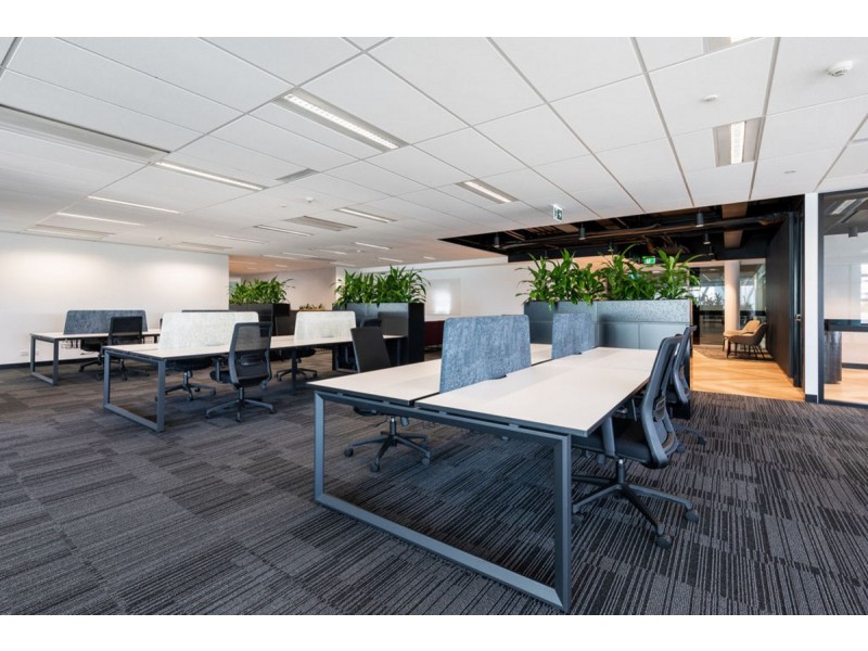 12 Newcastle Street, East Perth WA 6004