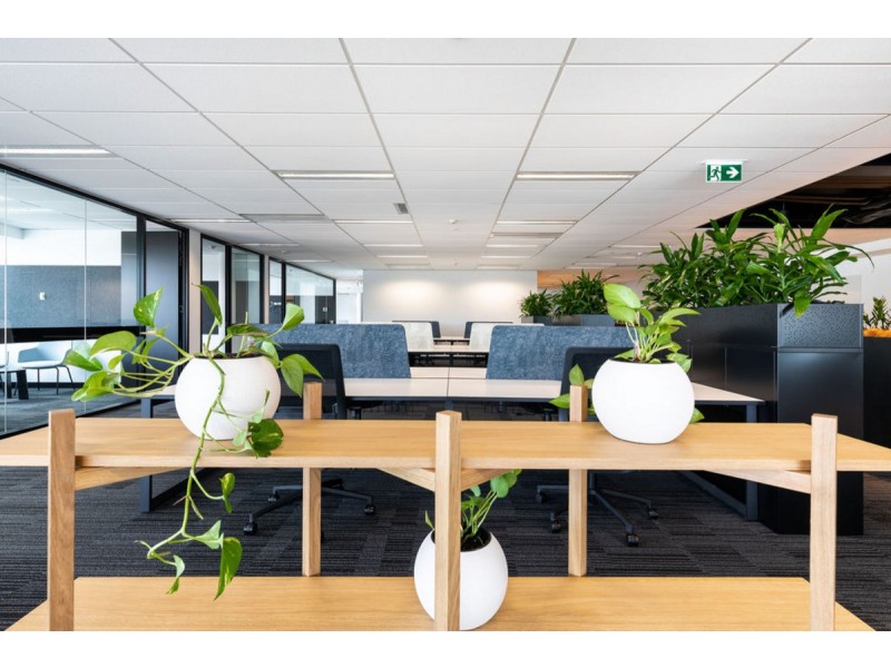 12 Newcastle Street, East Perth WA 6004