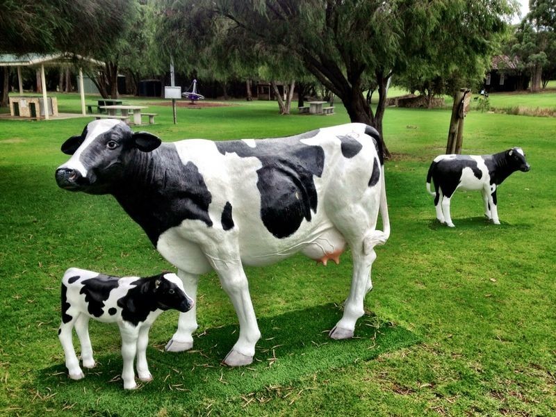 40 Bussell Highway, Cowaramup WA 6284