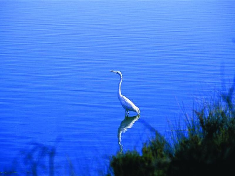 Double Beach, Geraldton WA 6530