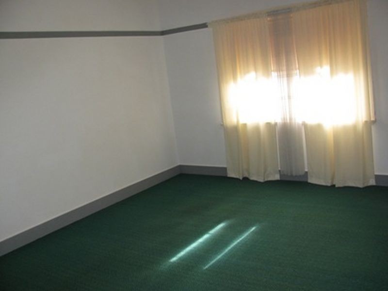 13 Cronulla Street, Carlton NSW 2218