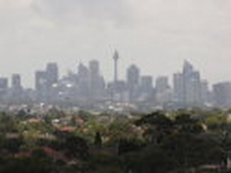 5 Lily Street, Allawah NSW 2218