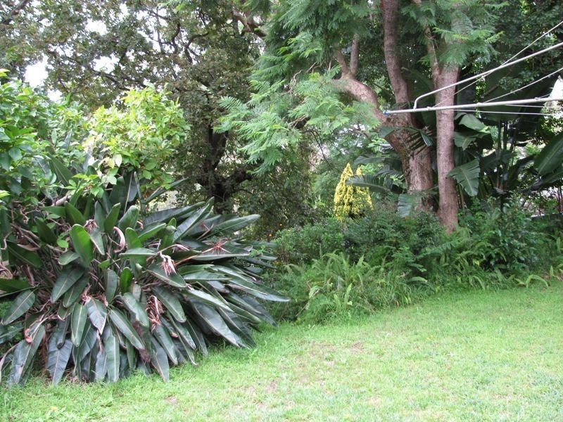 249 Connells Point Rd, Connells Point NSW 2221