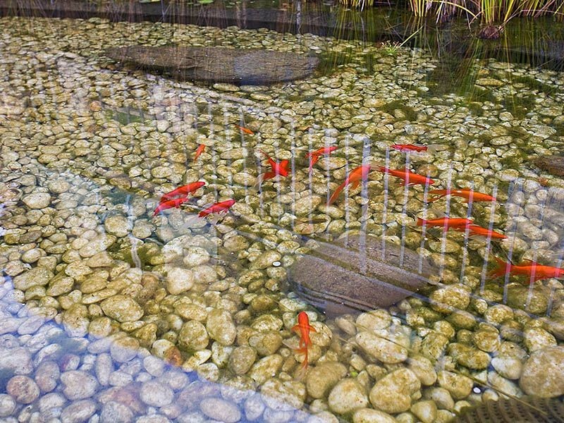 20/14-20 Madeira Street, Sylvania NSW 2224