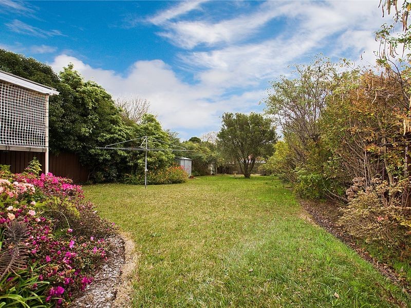 53 Ada Street, Bexley NSW 2207