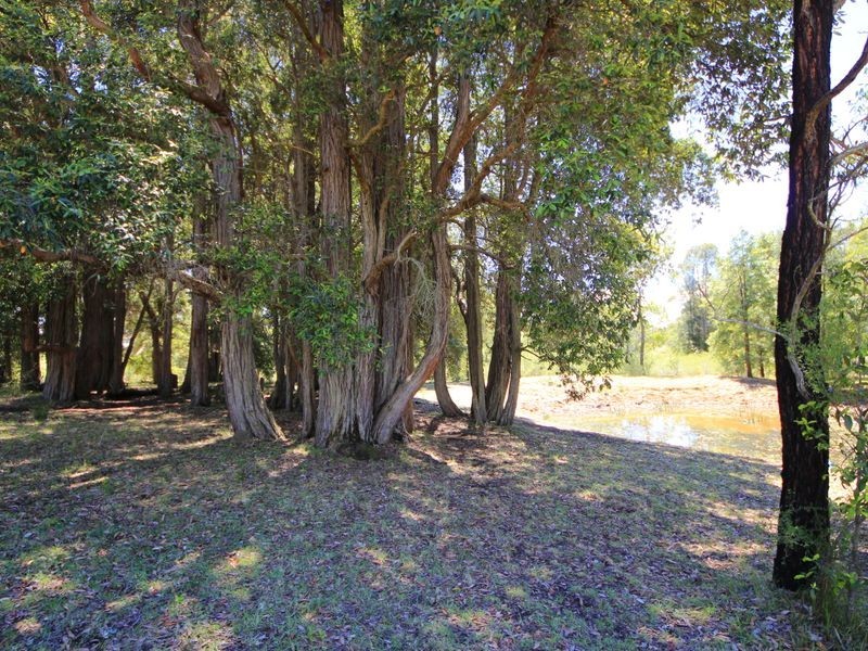 Orangeville NSW 2570