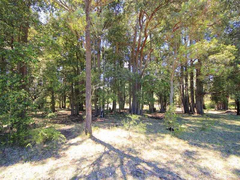 Orangeville NSW 2570