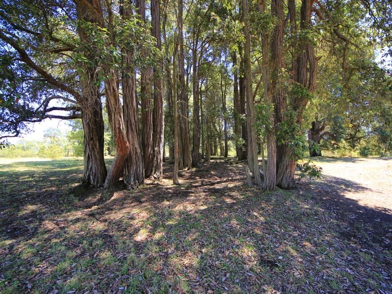 Orangeville NSW 2570