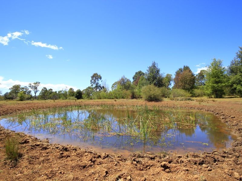 Orangeville NSW 2570