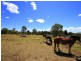 Orangeville NSW 2570