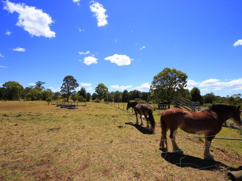 Orangeville NSW 2570