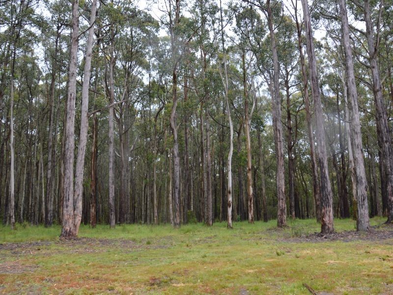 860 McDonalds Track, Narracan VIC 3824