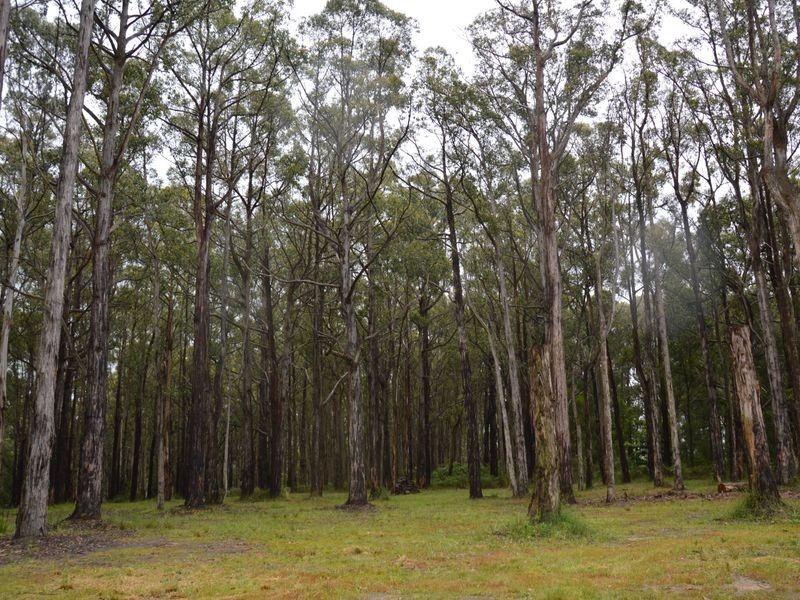 860 McDonalds Track, Narracan VIC 3824
