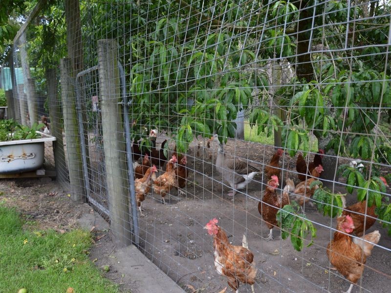 55 View Road, Hernes Oak VIC 3825