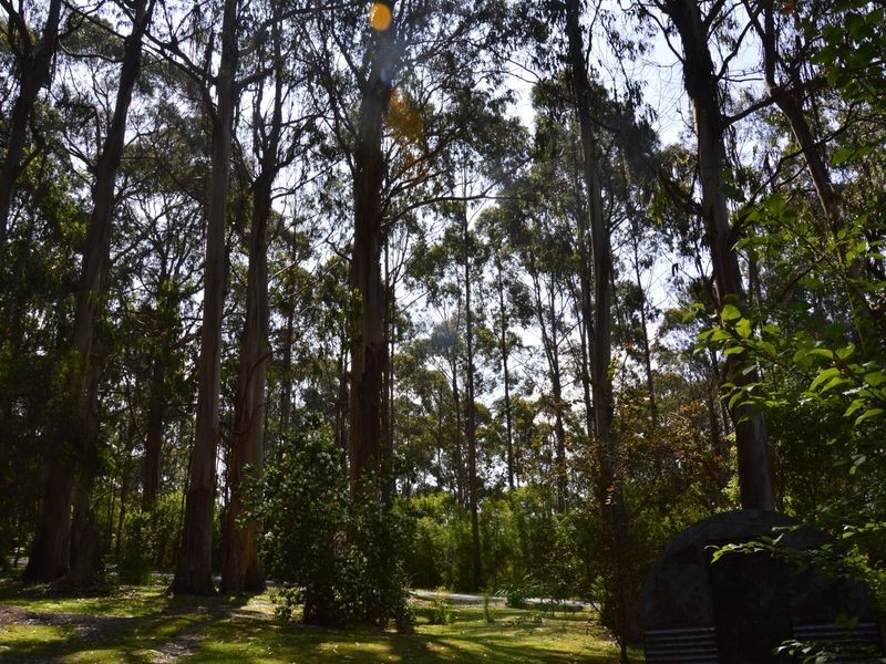 68 Stitchling Street, Carrajung VIC 3844