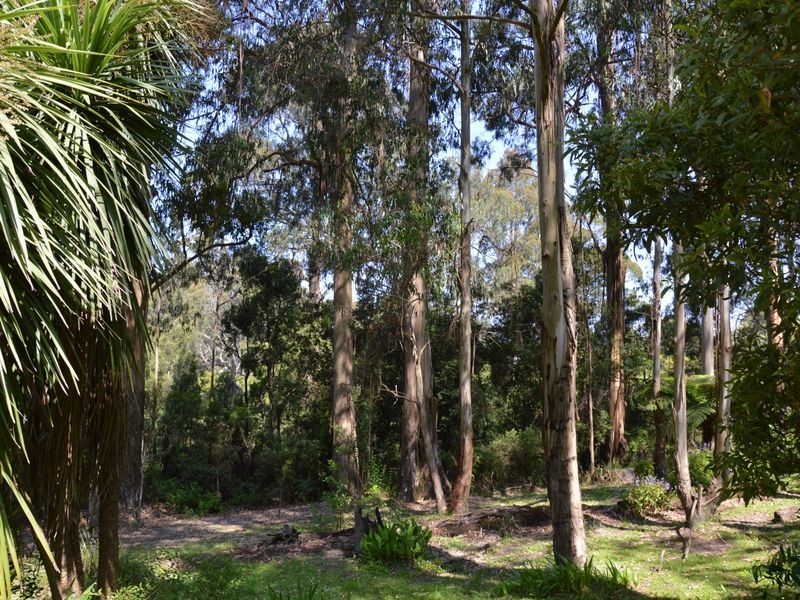 68 Stitchling Street, Carrajung VIC 3844