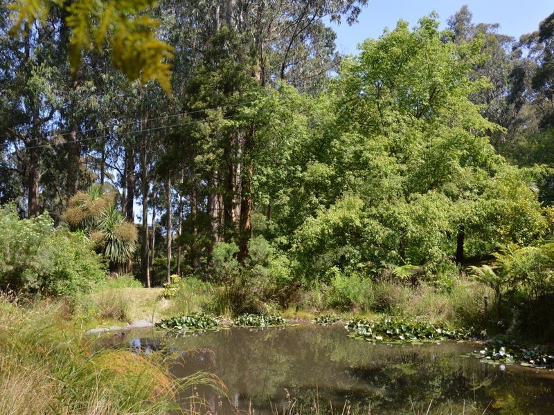 68 Stitchling Street, Carrajung VIC 3844