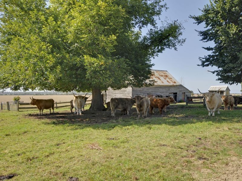 28 Won Wron Road, Yarram VIC 3971