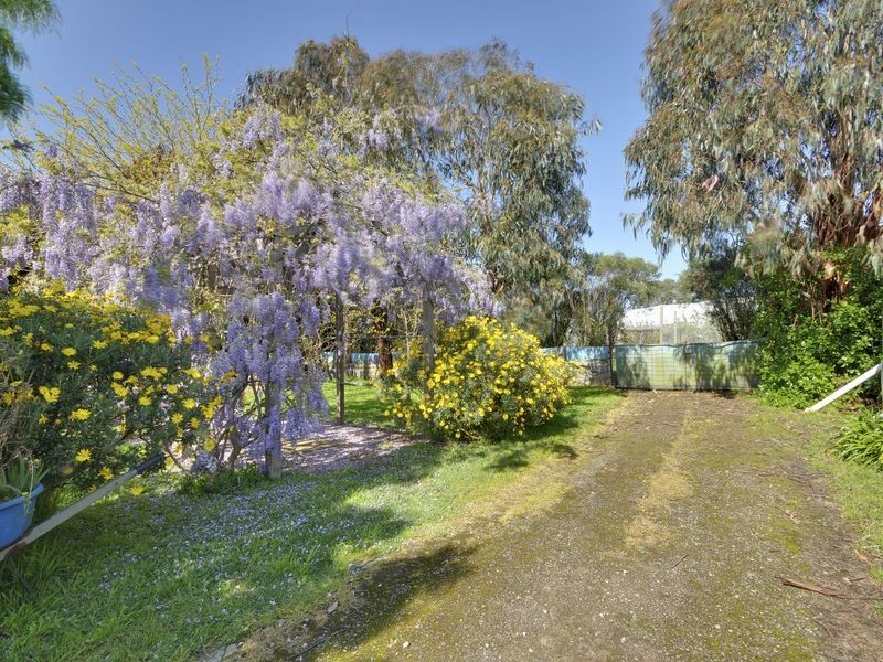 100 Flynns Creek Road, Flynn VIC 3844