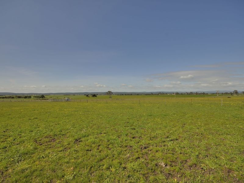 100 Flynns Creek Road, Flynn VIC 3844