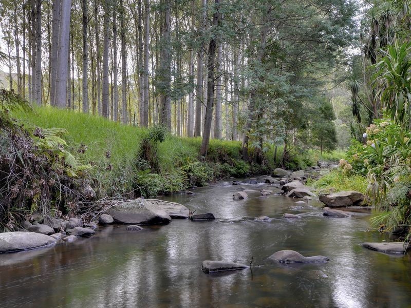 1409 Tarra Valley Road, Tarra Valley VIC 3971